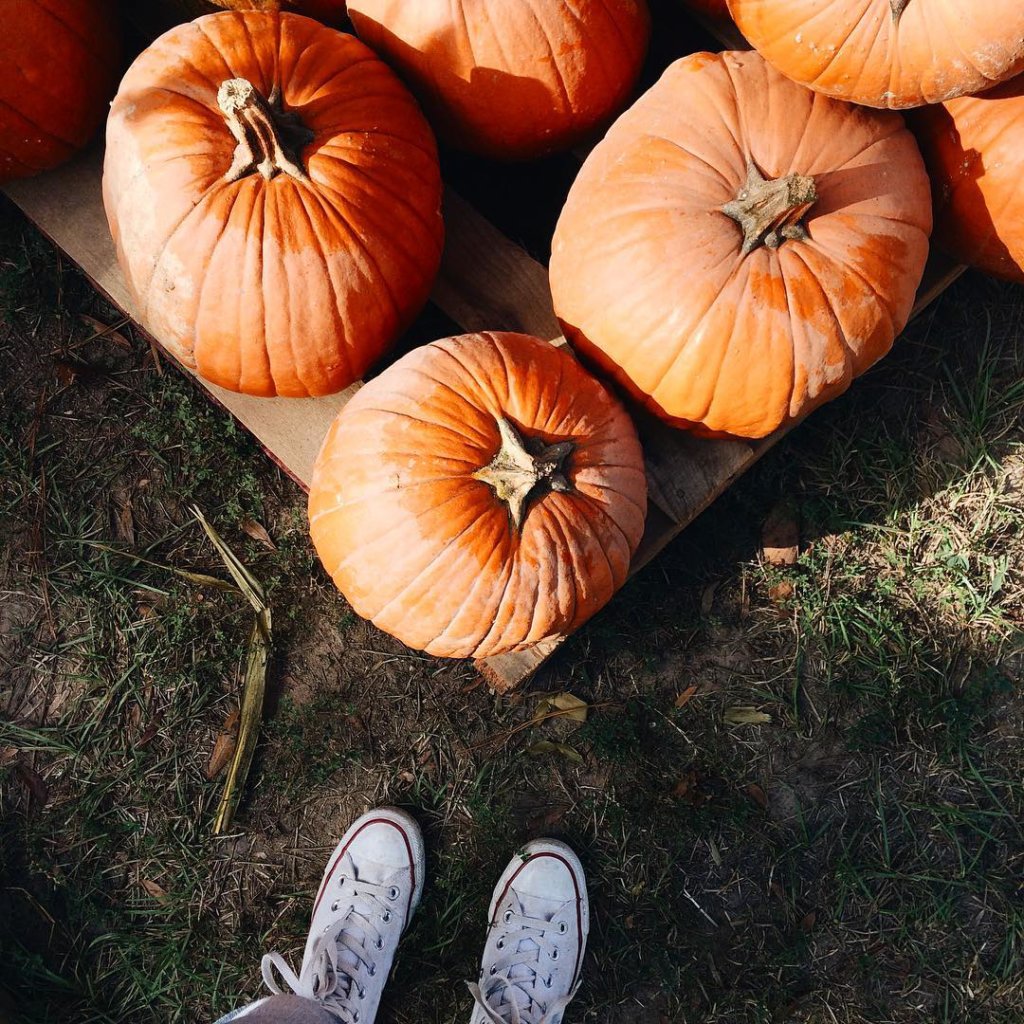 What To Post On Instagram This Fall | The Blonder Life
