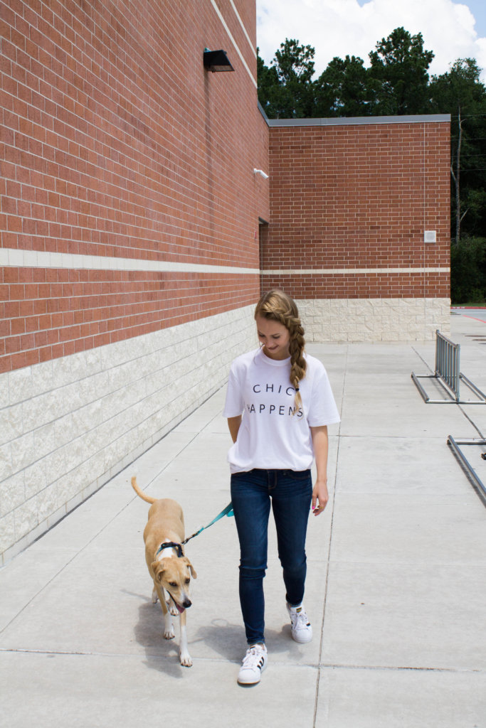 What it's like owning a dog in your 20's. Quick Q+A to get to know Quinn and what it was like owning a dog as a college student | The Blonder Life