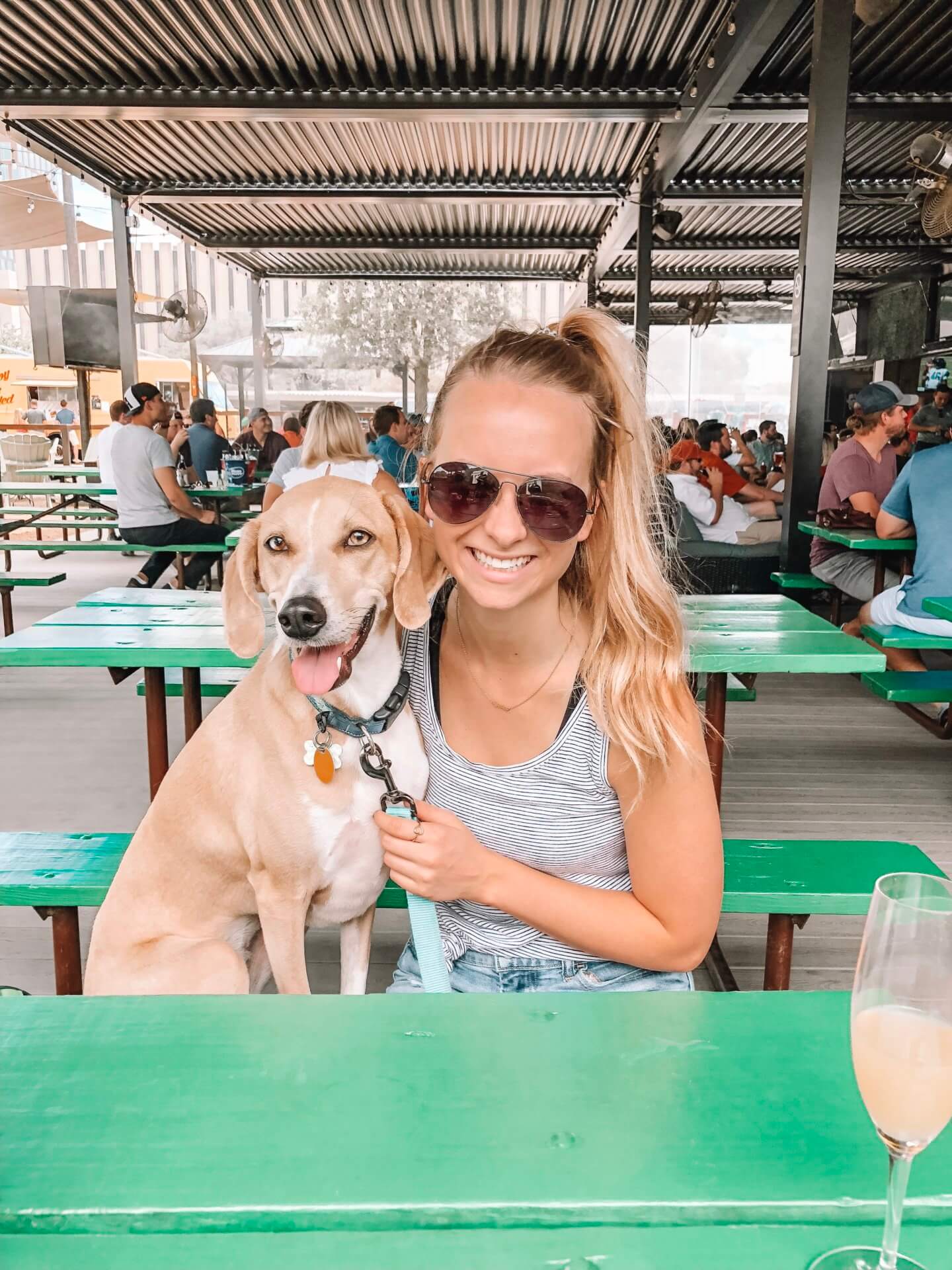 Houston, Texas dog friendly guide. Dog friendly restaurants, bars and Houston dog parks. Houston city guide. The Blonder Life