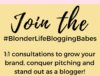 Introducing #BlonderLifeBloggingBabe 1 on 1 blog consultations with yours truly! Lets grow your brand together and stand out to brands! The Blonder Life